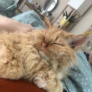 Meet your Posher, Stacy